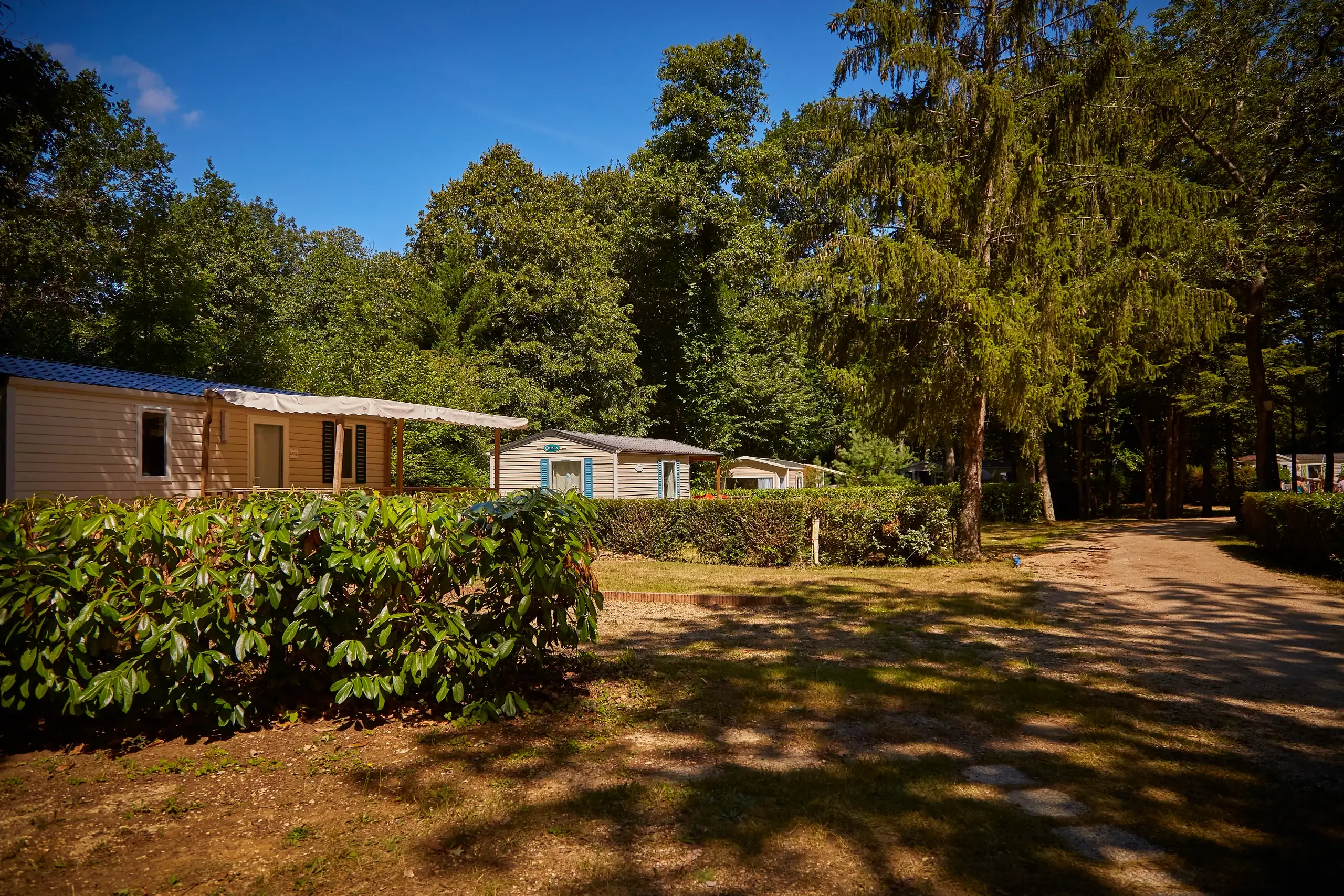 Camping Parc des Roches