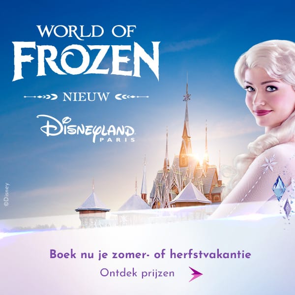 Banner DisneylandParis.com