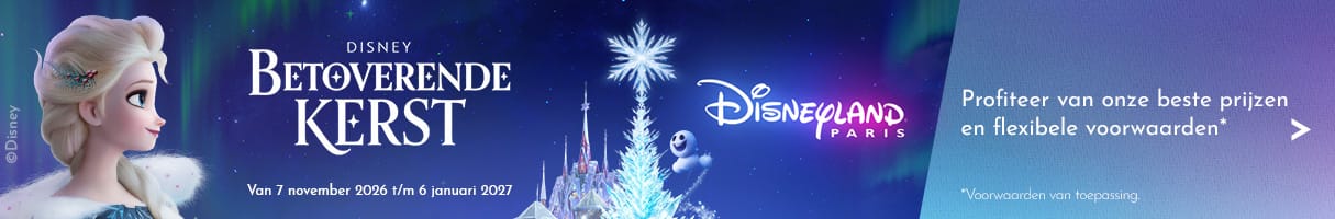 Banner DisneylandParis.com